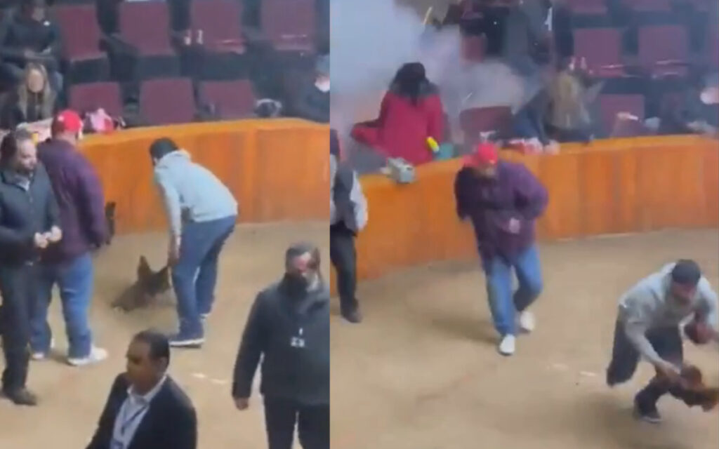 Explota granada durante palenque en Hidalgo | Video