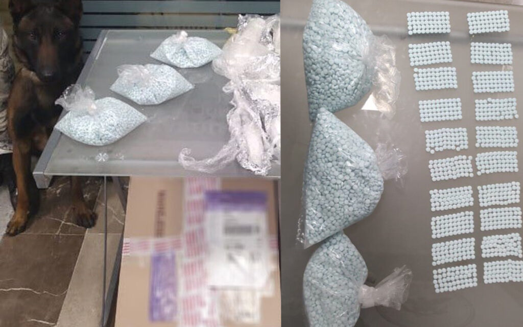 GN y binomio canino decomisan 11 mil pastillas de fentanilo en Aeropuerto de Toluca