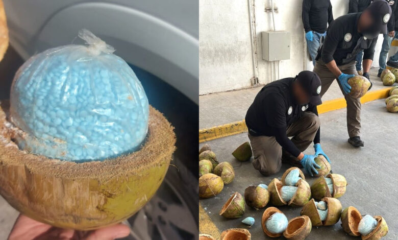 Incautan en Sonora cargamento de fentanilo escondido en cocos