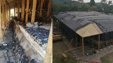 Incendio en zona arqueológica El Tajín deja daños 'reversibles': INAH