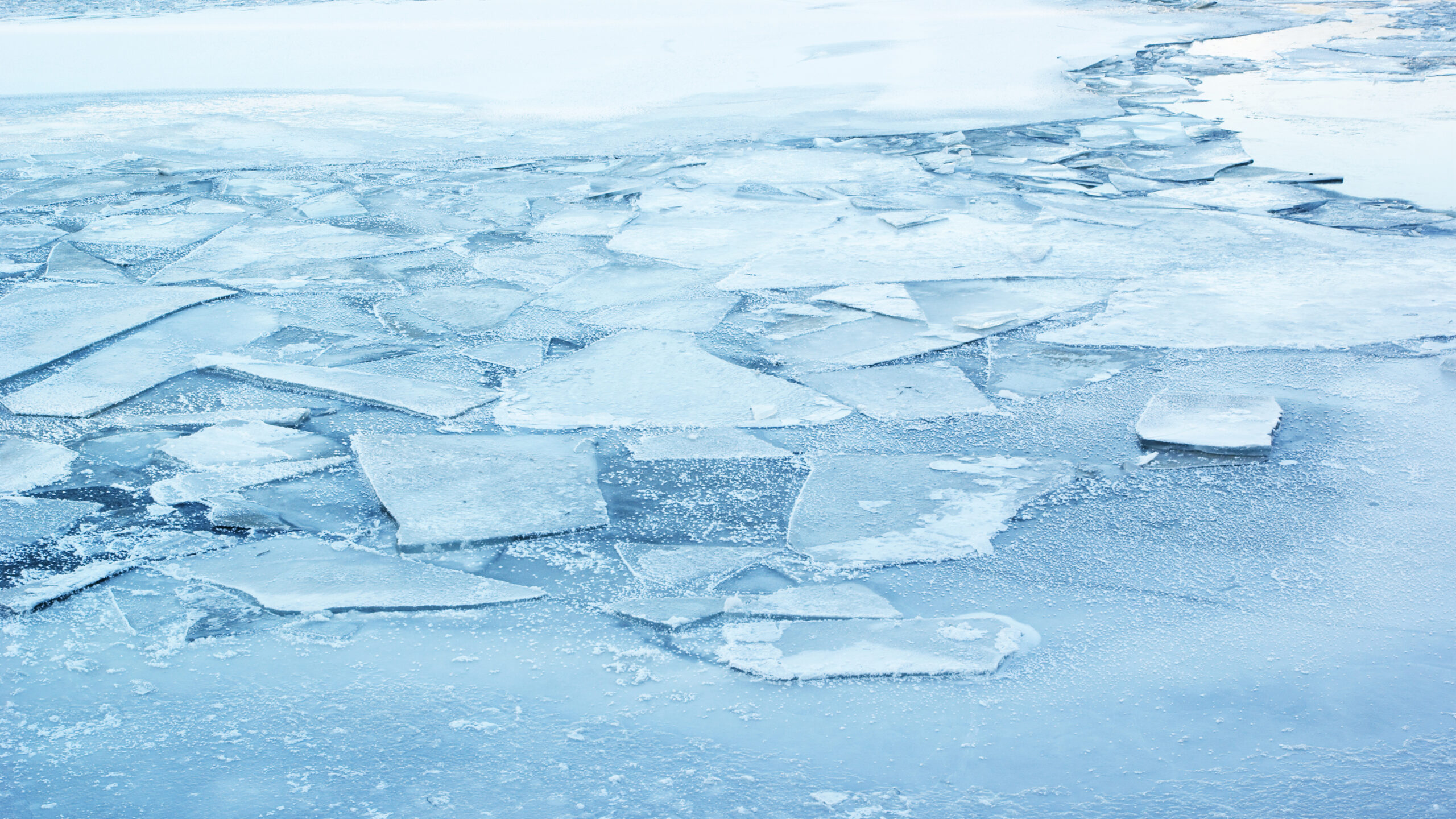 Inglaterra: mueren tres niños tras caer en un lago congelado