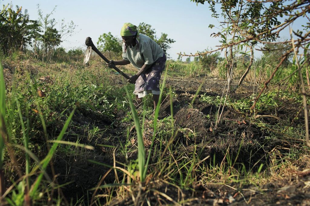 La ONU lucha para desbloquear el comercio de fertilizantes rusos, esenciales para paliar la crisis alimentaria
