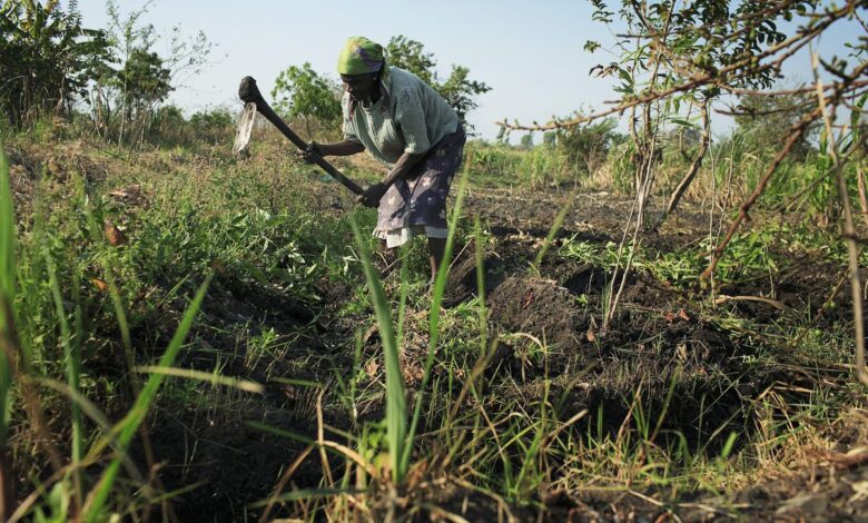 La ONU lucha para desbloquear el comercio de fertilizantes rusos, esenciales para paliar la crisis alimentaria