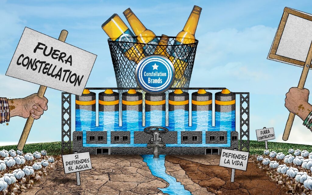 La cervecera que se va de Mexicali, pero pelea por el agua