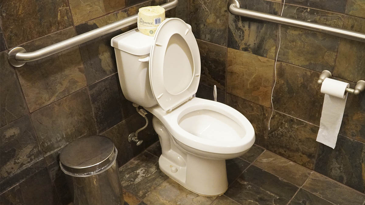 La foto que te recordará bajar la tapa del inodoro cuando tires de la cadena
