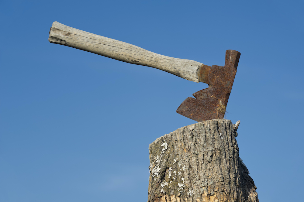 La historia de crecimiento de Tech cambió este año. ¿Cómo ha impactado eso en la transparencia?