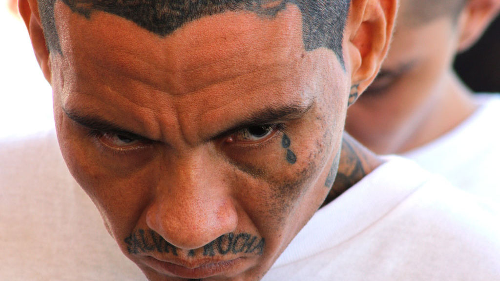 La historia de la Mara Salvatrucha, escrita con sangre