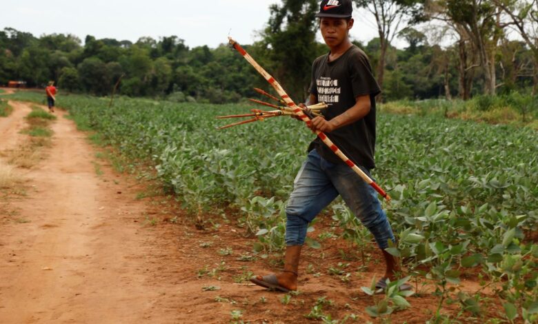 Las empresas de la Unión Europea que miran a otro lado frente a los problemas en el cultivo de soja en Sudamérica
