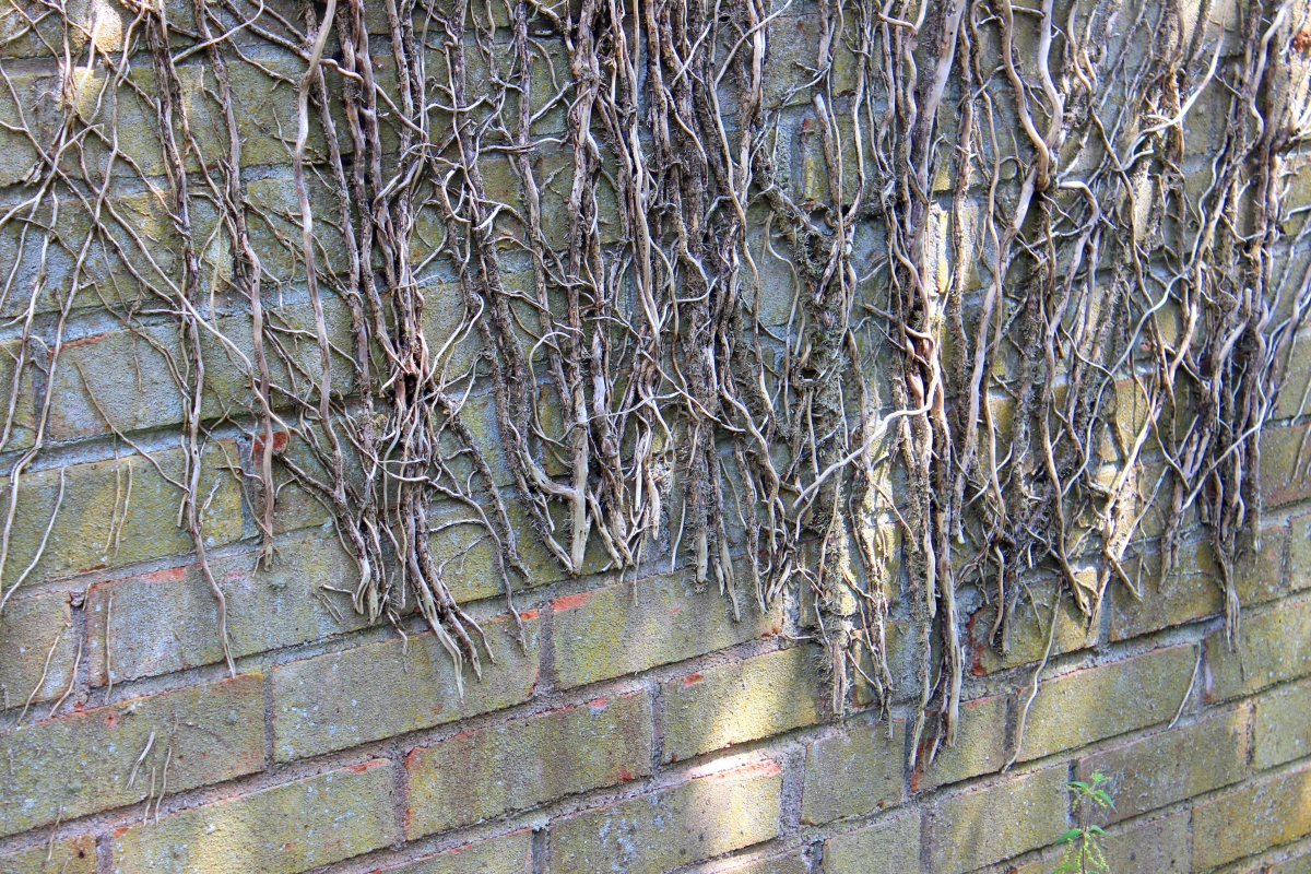 Las inversiones masivas de FTX y Alameda tardarán mucho en desconectarse de la industria de las criptomonedas