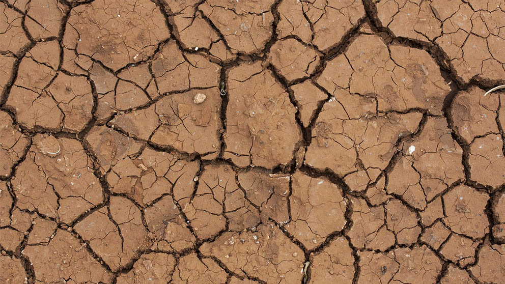 Los desastres naturales cuestan miles de millones de euros a la agricultura