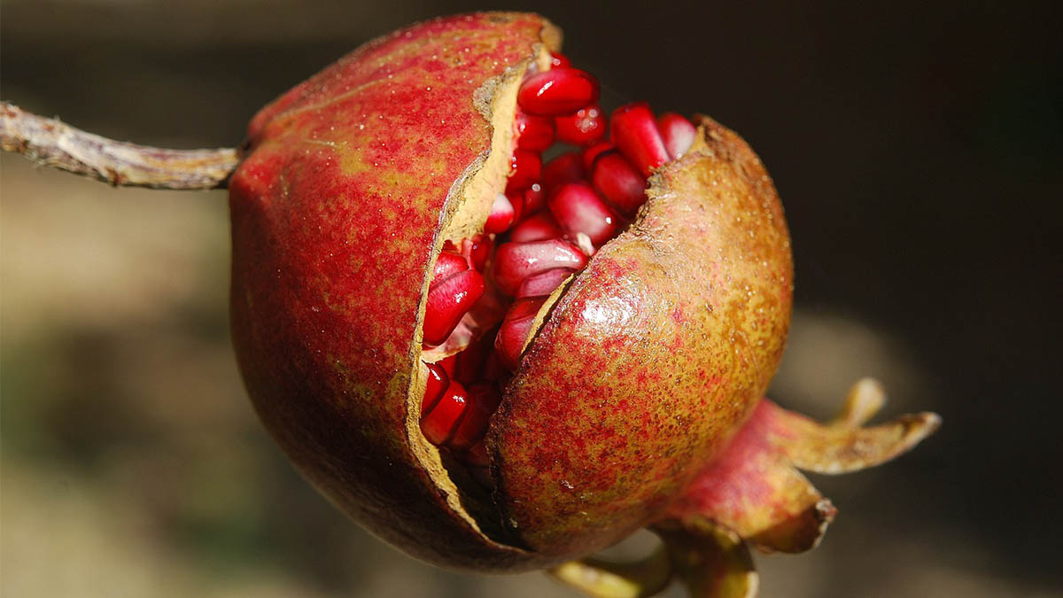 Los superalimentos que te llenarán de energía esta primavera 2018