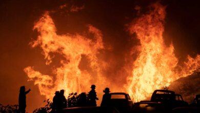 Más de 800 bomberos combaten incendio en Viña del Mar