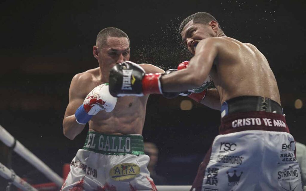 Mexicanos 'Gallo' Estrada y 'Rey' Martínez, campeones mosca y súper mosca