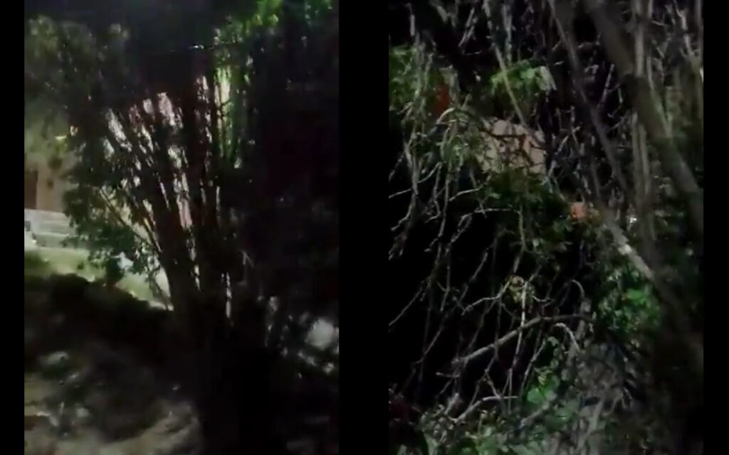 Padres dejaron a niña afuera en el frío de la noche, denuncian vecinos