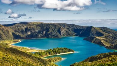 Países acuerdan proteger 30% del planeta para preservar biodiversidad