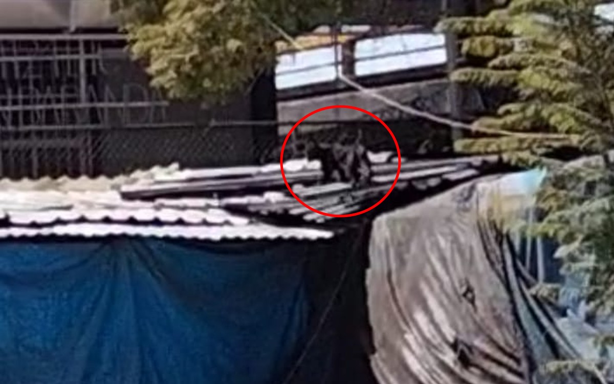 Pantera deambula suelta por el Metro Tacuba | Video