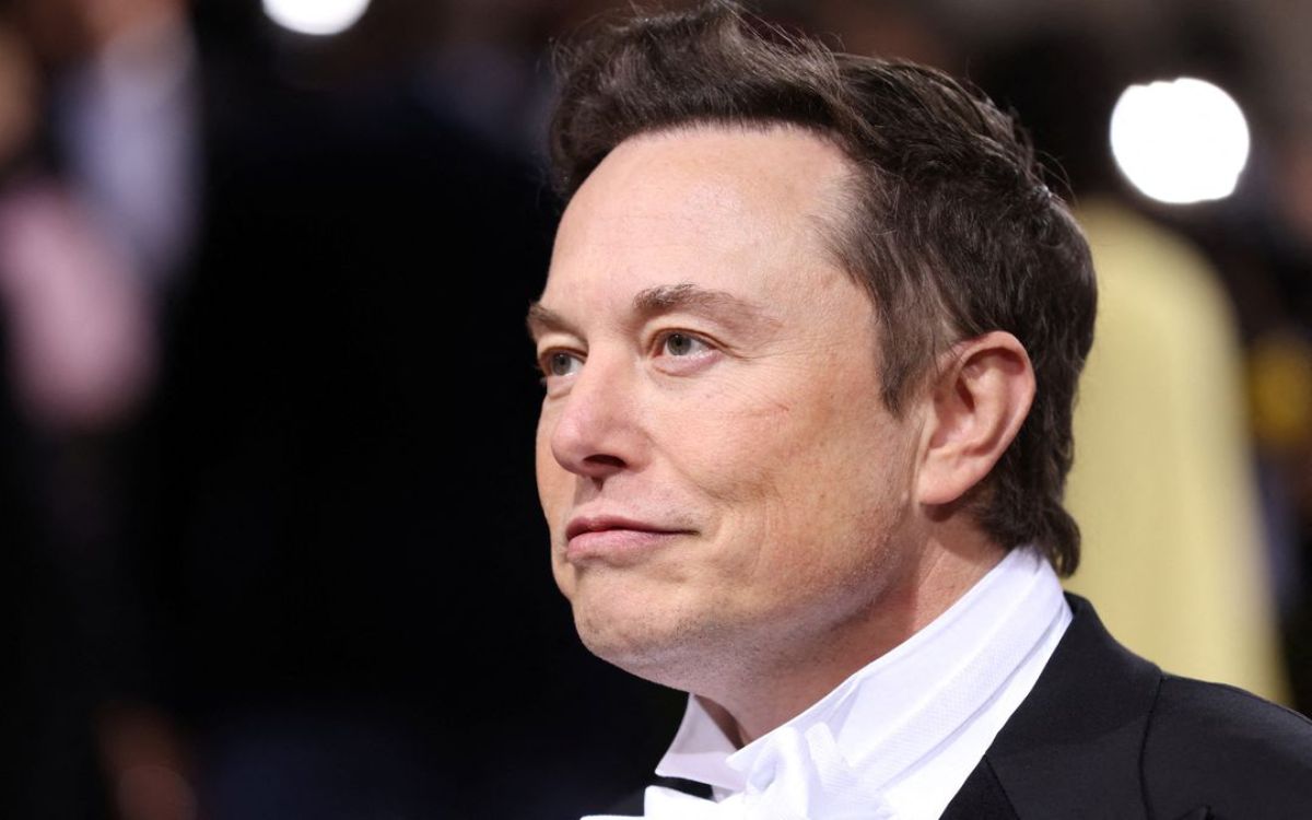 Pruebas en animales de compañía de Musk podrían causarles sufrimiento