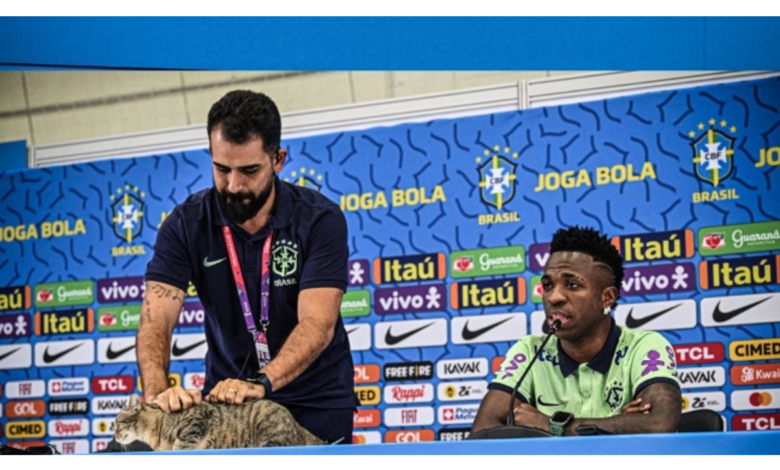 Qatar 2022: Roba gato cámara a Vinícius Júnior y lo sacan de ruda manera | Video