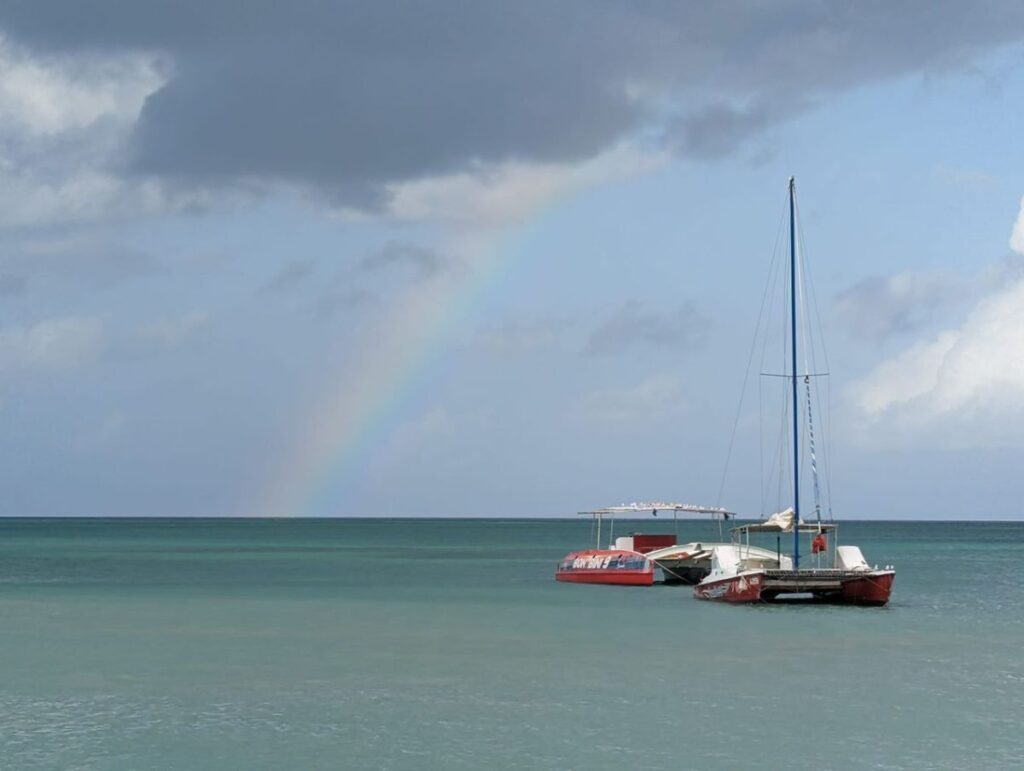 Reflexionando sobre un año de montaña rusa para la robótica