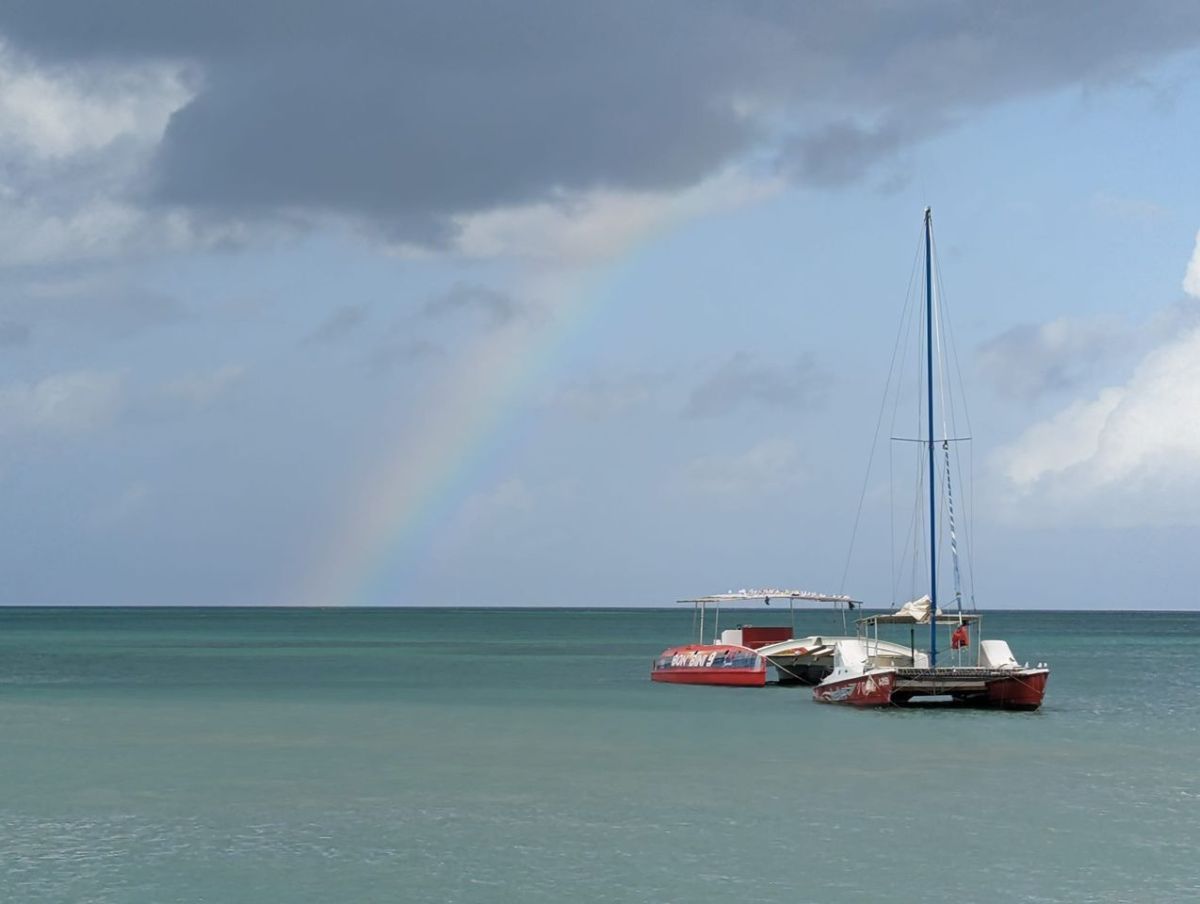 Reflexionando sobre un año de montaña rusa para la robótica