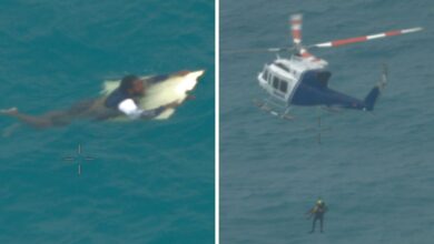 Rescatan a hombre que sobrevivió un día flotando en un pedazo de madera rodeado de tiburones y cocodrilos