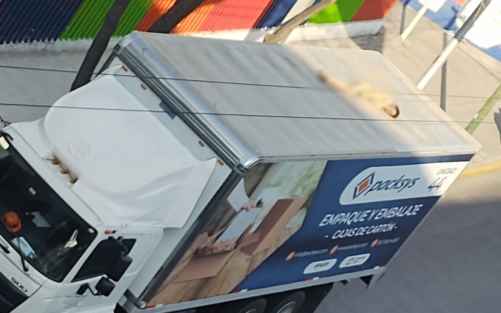 Rescatan a hombre que viajaba desnudo en techo de tráiler