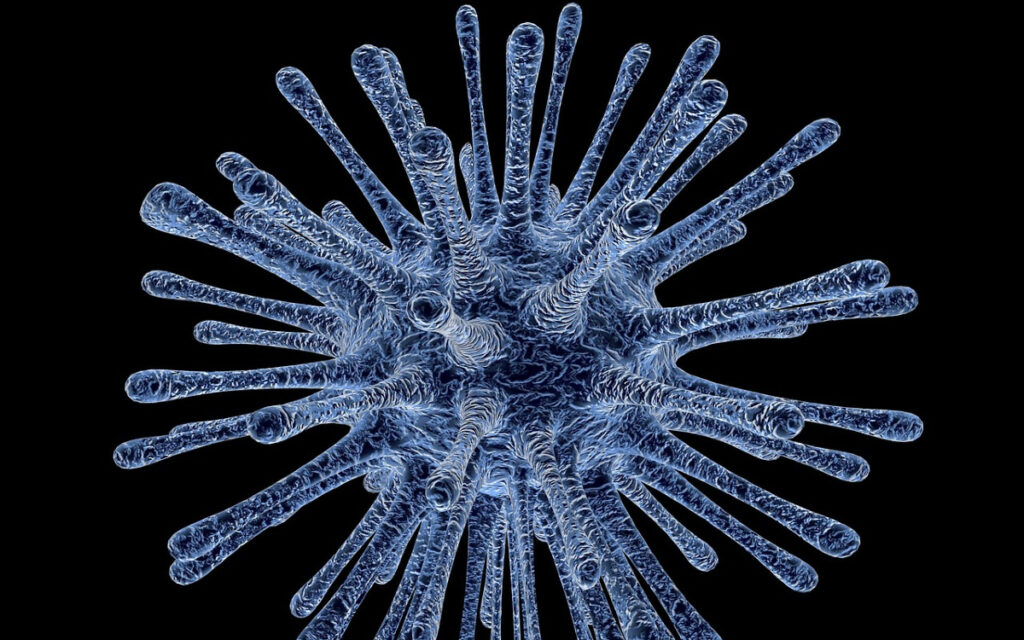 Resucitan virus 'zombie' que estuvo congelado 48 mil 500 años