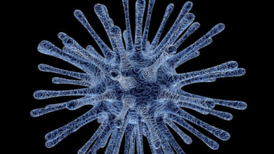 Resucitan virus 'zombie' que estuvo congelado 48 mil 500 años