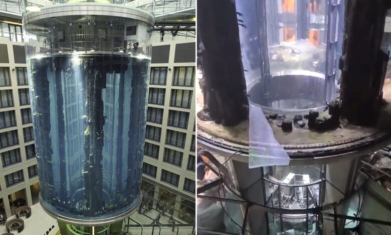 Revienta en Berlín el mayor acuario cilíndrico del mundo, que contenía 1.500 peces tropicales