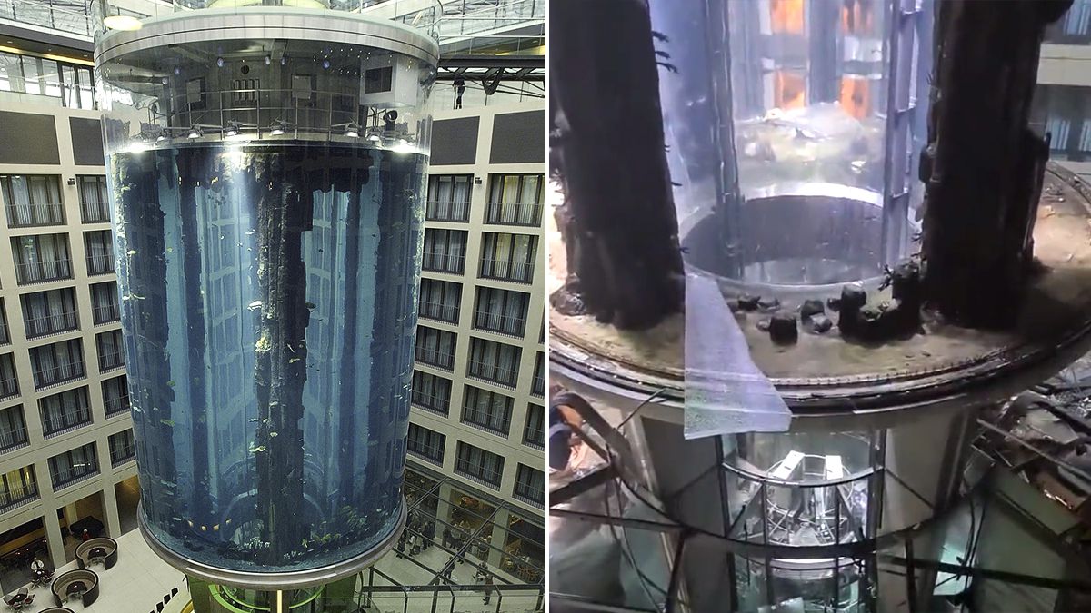 Revienta en Berlín el mayor acuario cilíndrico del mundo, que contenía 1.500 peces tropicales