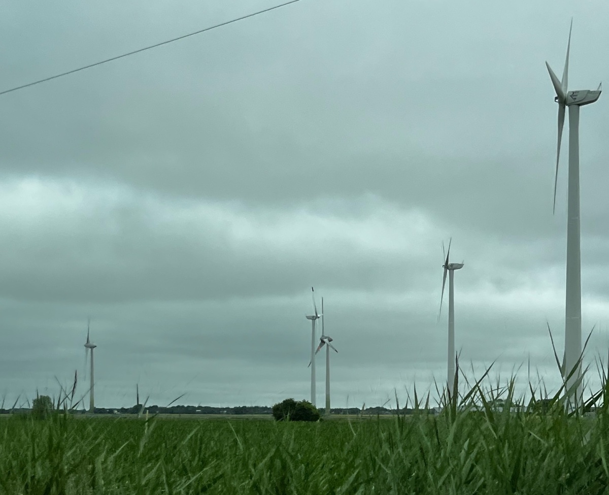 Salesforce expandirá Sustainability Cloud a una herramienta completa de generación de informes ESG