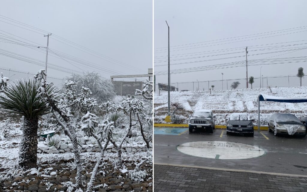 Saltillo y Ramos Arizpe se pintan de blanco con nevada