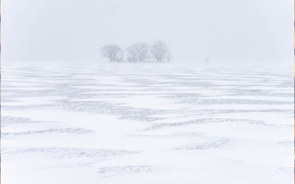 Tormenta invernal azota EU con hasta -50 grados y más de 4 mil vuelos cancelados | Videos
