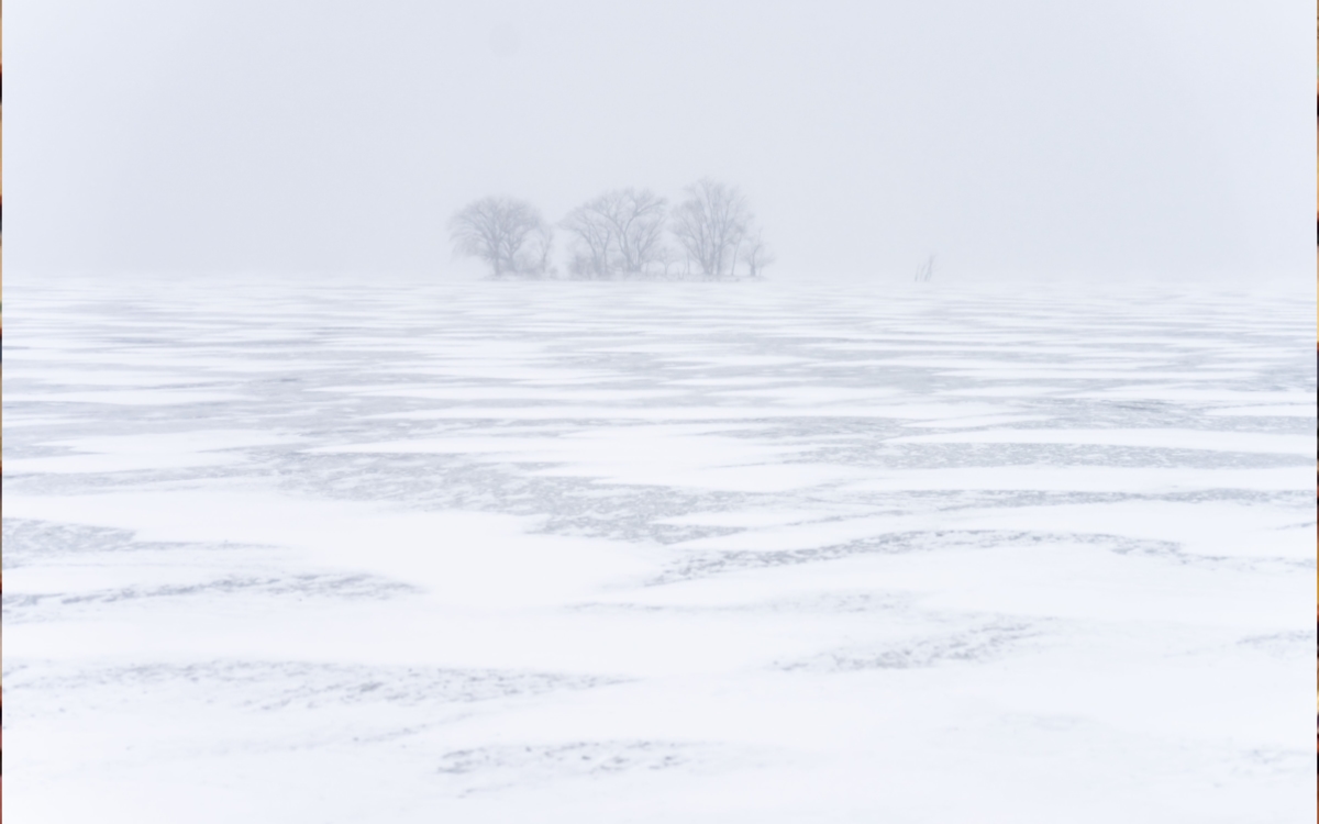 Tormenta invernal azota EU con hasta -50 grados y más de 4 mil vuelos cancelados | Videos