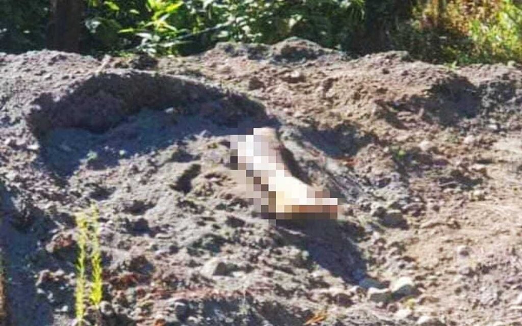 Ven pierna semienterrada y descubren fosa clandestina | Michoacán
