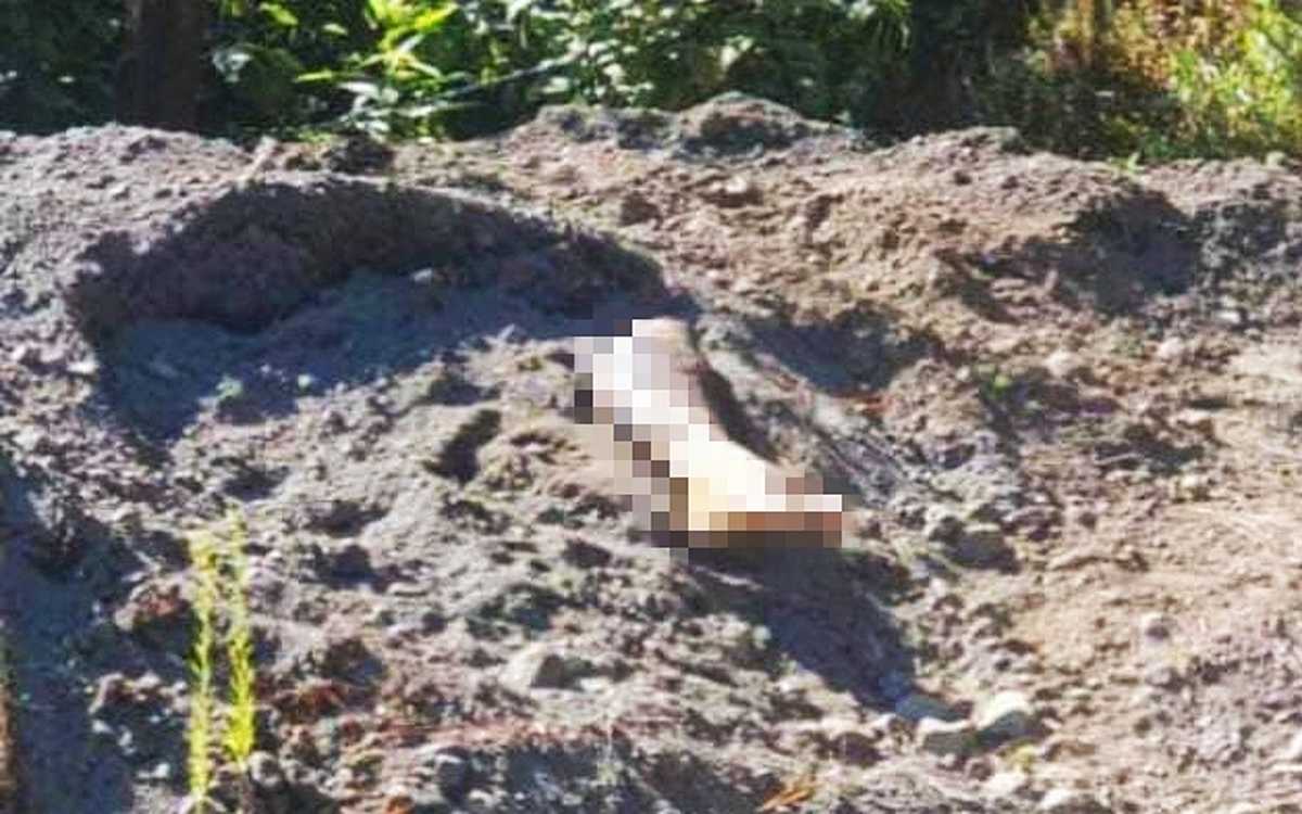 Ven pierna semienterrada y descubren fosa clandestina | Michoacán