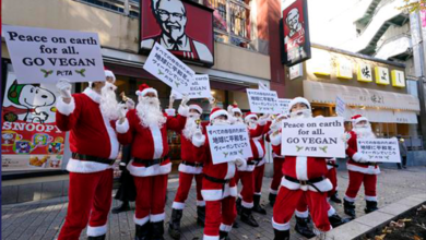 Vestidos de Santa Claus, activistas veganos protestan en KFC