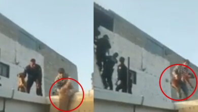 ¡Héroes sin capa! Policías salvan a 10 lomitos tras incendio en el Edomex | Video