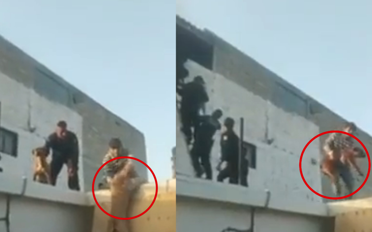 ¡Héroes sin capa! Policías salvan a 10 lomitos tras incendio en el Edomex | Video