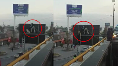 ¿Cómo le hizo? Policías rescatan a lomito atrapado en letrero vial | Video