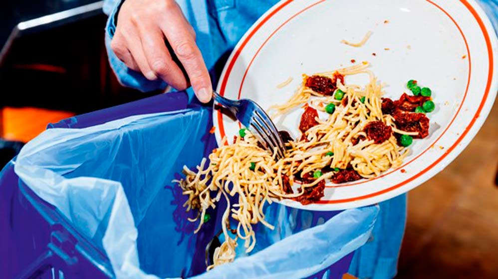 ¿Cuáles son los alimentos más desperdiciados del mundo?