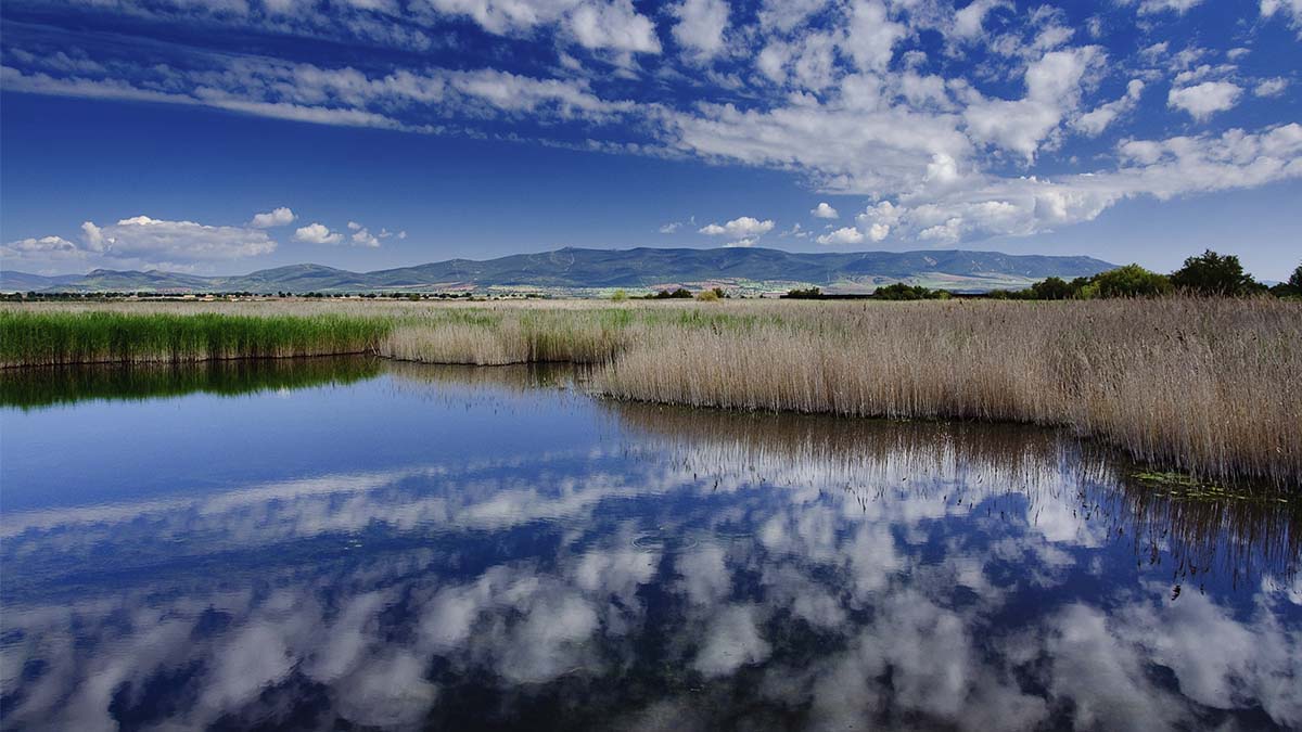¿Qué son y por qué es tan importante conservarlos?