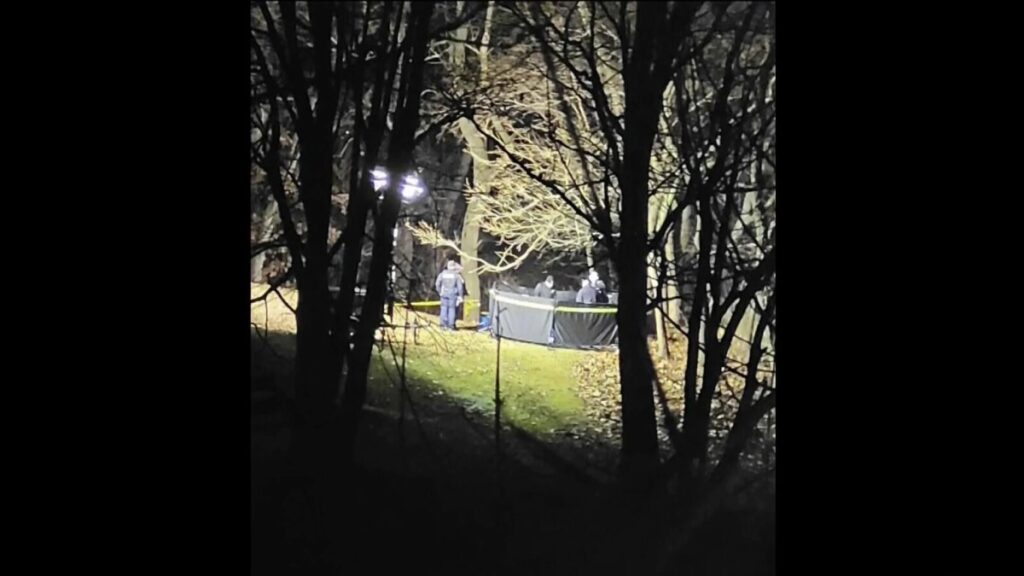 Niño de 2 años enterrado en Cummings Park en Stamford, Connecticut