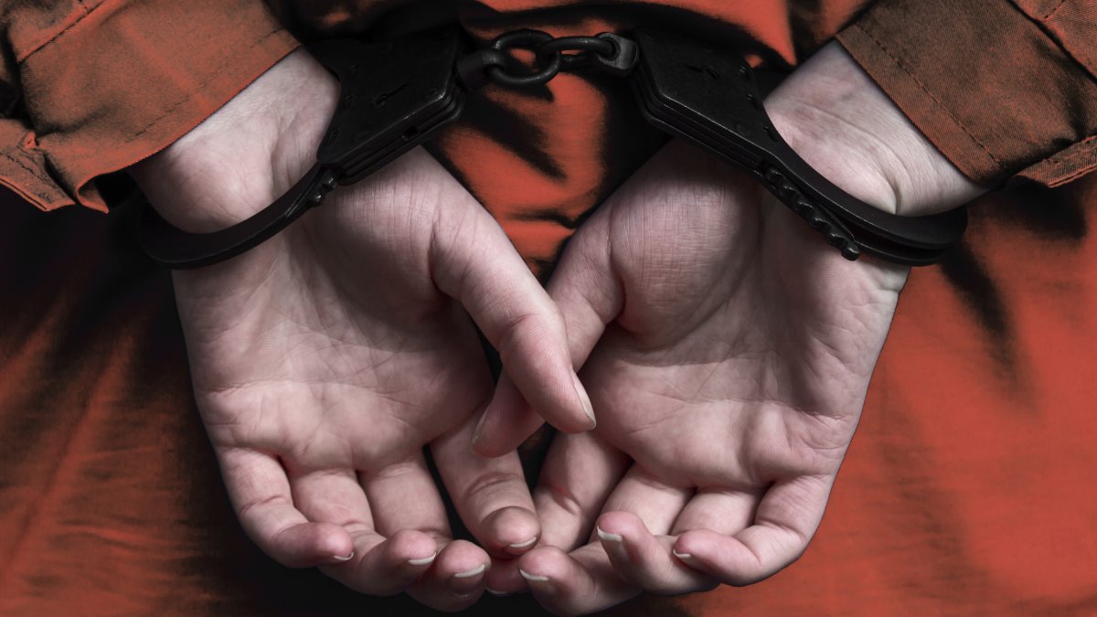 Sentencian a Nathan Singer a más de siete años en prisión