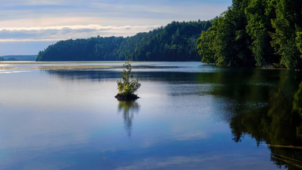 Pruebas de ADN ayudan a identificar a hombre de Fort Worth