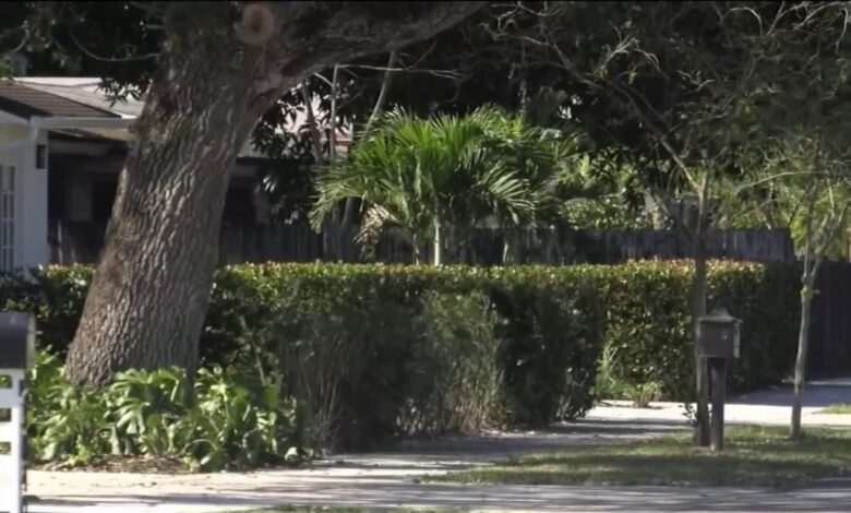 Buscan a sospechoso de disparar contra una fiesta familiar y herir a 9 personas en Florida