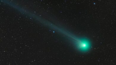a partir de esta fecha podrás observar un cometa verde brillante, el último en el sistema solar durante la Edad de Hielo