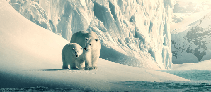 Nuestro planeta 2 predice los mejores y peores programas de Netflix de 2023 Nuestro planeta 2 predice los mejores y peores programas de Netflix de 2023