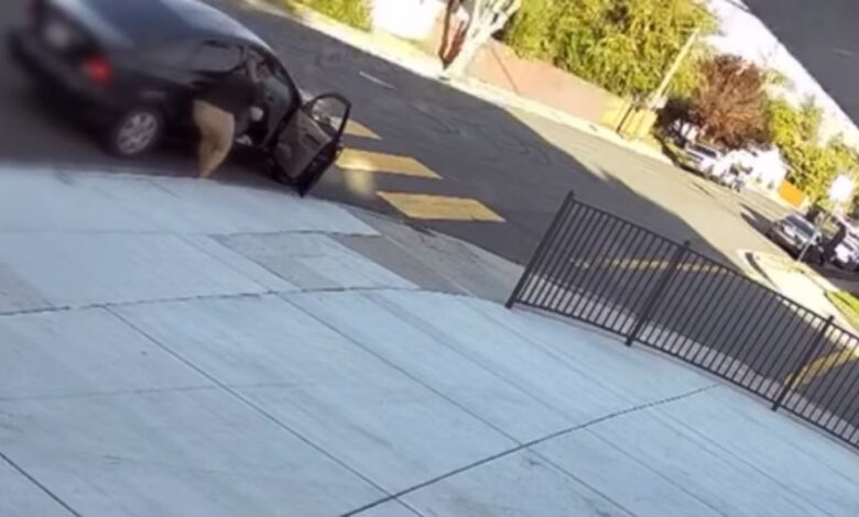 impresionante secuestro de una mujer en Hayward