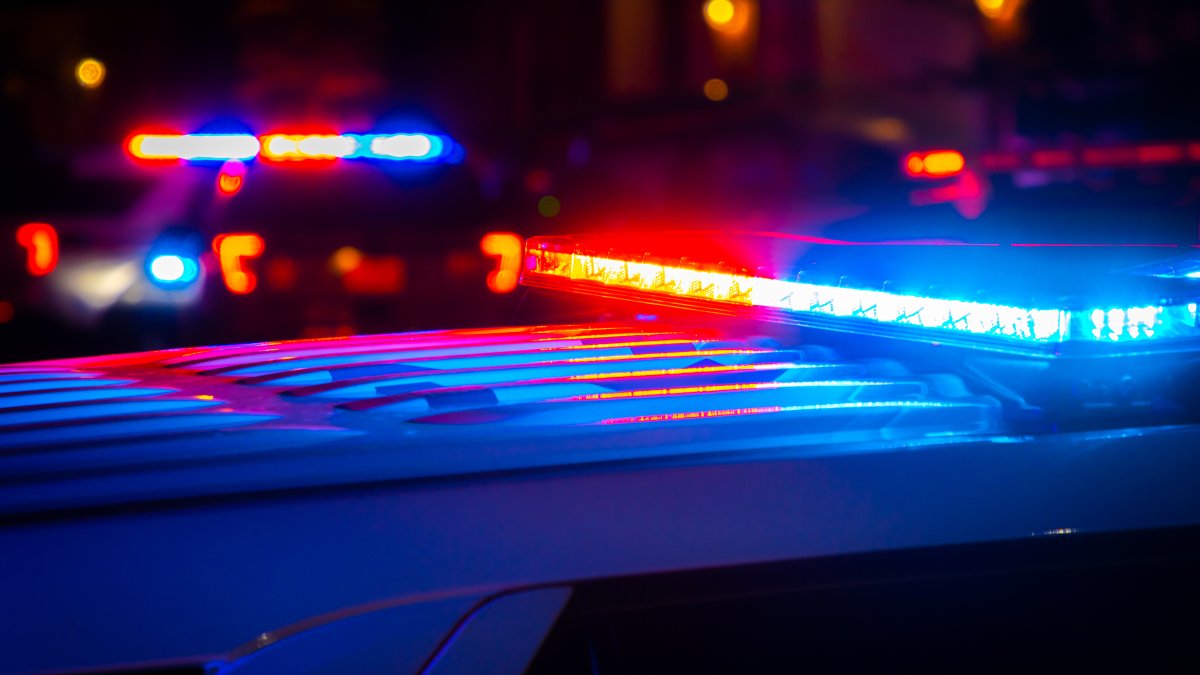 niña muere tras salvaje ataque de un perro pitbull